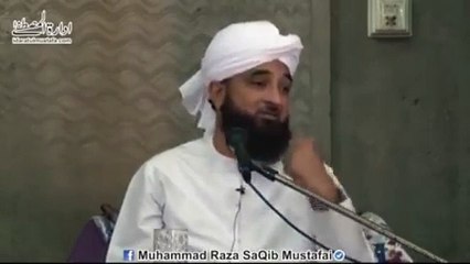 Muhammad Raza Saqib Mustafai (379)