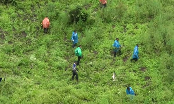 BNN Musnahkan Enam Hektar Tanaman Ganja di Aceh