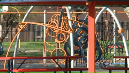 11-Year-Old Boy Fatally Shot in the Head While Playing in Indiana Park
