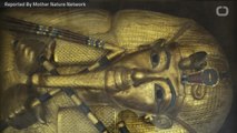 King Tut's Tomb Void Of Hidden Chambers