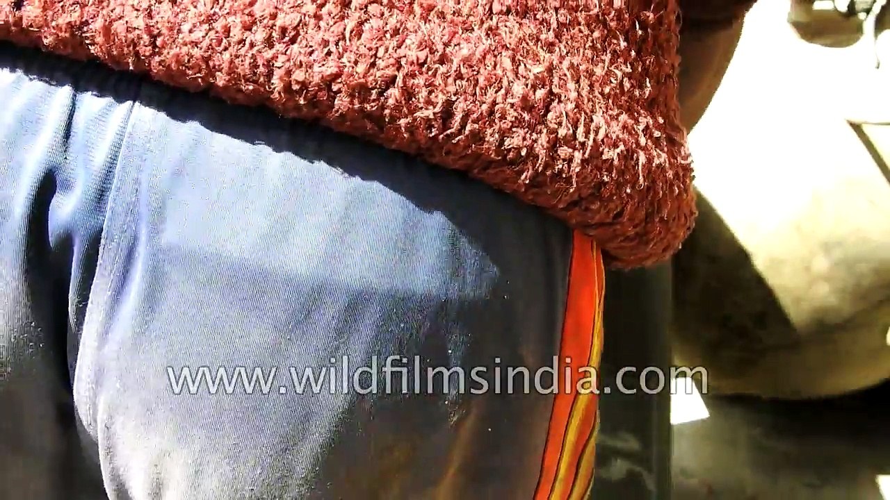 Repairing punctured tyre on a remote highway in the Spiti Himalaya