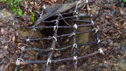 Tunceli'de 1 sığınak ve 4 EYP imha edildi