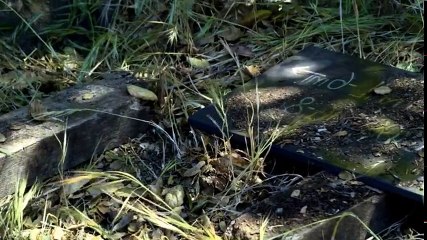 Expressway Skull 2014    - Part 01