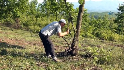 Muhtar tek başına mahallenin meralarını ıslah etti