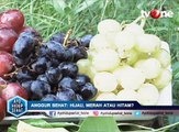 Mitos dan Fakta Buah Anggur