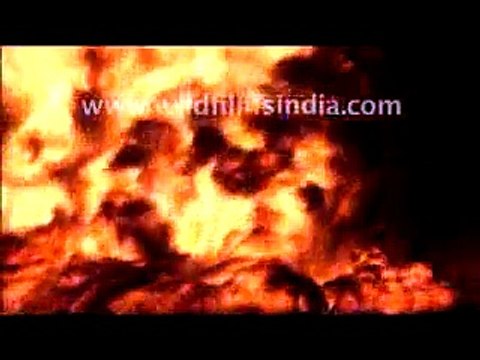 Jaipur Oil Fire - US%24100 million goes up in flames