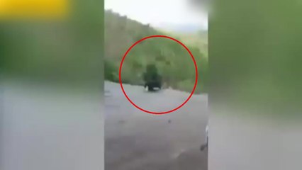 [이브닝] '목숨 건 셀카 찍기'...절벽 아래 추락 / YTN