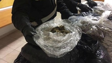 Dysheku me hashash, arrestohet shqiptari në Romë - Top Channel Albania - News - Lajme