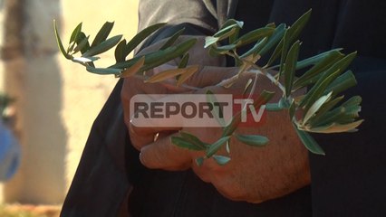 Report TV - Festa e ullirit në Roskovec mbledh qindra banor të zonës