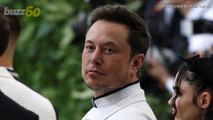 Elon Musk is 'Dating' Grimes, And The Internet Can't Handle It