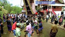 Toraja Funerals | Culture - Planet Doc Full Documentaries
