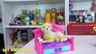 Parque de Atracciones para Perros Puppy in my Pocket Serie 6 Los Juguetes Favoritos de Abrelo Toys