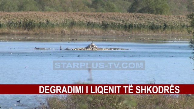 DEGRADIMI I LIQENIT TË SHKODRËS