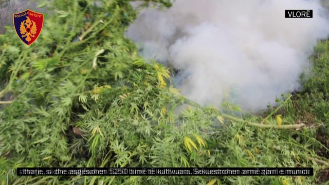 Dosja në dorë të Ministrisë, hetimet për Tahirin - Top Channel Albania - News - Lajme