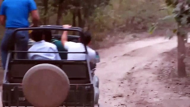 Angry Elephant chasing tourists at forest...!!!!