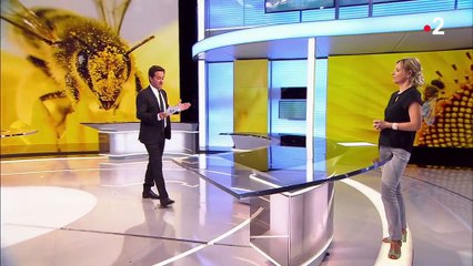 Abeilles : leurs bienfaits thérapeutiques