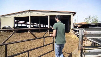 L'Agricoltore di maggio. Guido Pallini: dalle bufale della Maremma all'innovazione nei formaggi