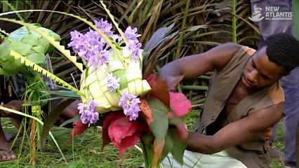 Ambassadors of the Jungle (part 5/5)