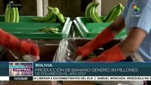 Bolivia consolida proyectos poductivos para diversificar la economía