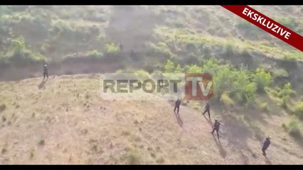 Report TV - Raporti italian për kanabisin, vetëm 1% krahasuar me 2016