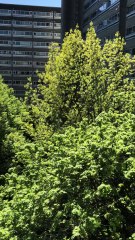 Moving Furniture Down Floors Very Fast