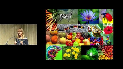 La production des couleurs dans le monde vivant