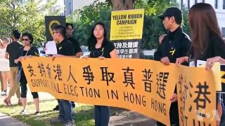 海外华人声援香港第二波