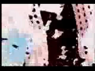 Quando a Maré Encher