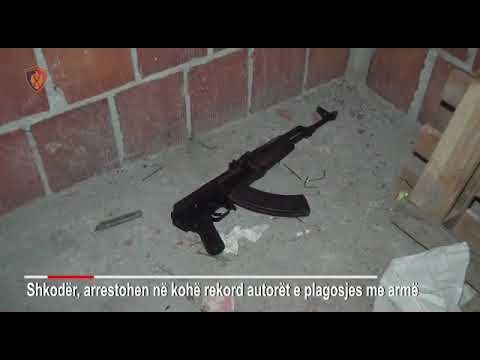 Ora News - Zbardhet plagosja në Shkodër, arrestohen 2 persona
