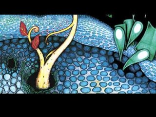 Duo Quanta - Aboio [Suíte Sertaneja]