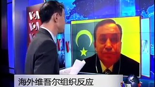 VOA卫视(2013年11月1日 第一小时节目)