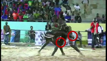 RUBRIQUE JELL BI du 08 Mai 2018 avec SIDI DIAMAGUENE & XEROU NGOR dans L' Oeil Du Tigre