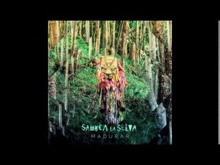 Samuca e a Selva - Vai