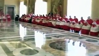 教宗方济各与枢机主教讨论教会改革
