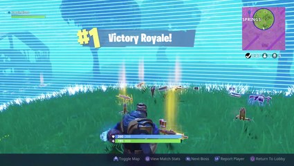 Fortnite - THANOS Victory