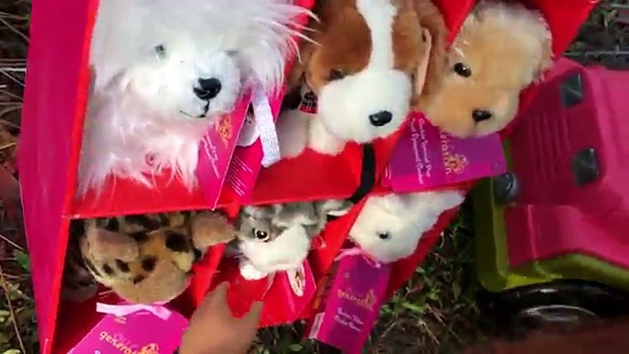 Biggest Our Generation Toys Surprise Egg Opening Deluxe Dolls