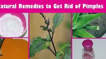पिंपल दूर करने के 5 चमत्कारिक उपाय -5 Home Remedies To Get Rid of Pimples Naturally And Permanently
