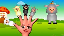 Finger Family Song with Sheep for Children Kids | Finger Family with Animals Nursery Rhymes Videos