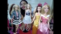 Minha Coleção de Barbies