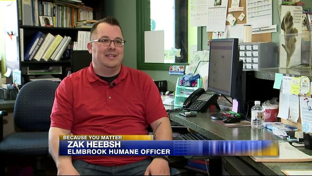 Wisconsin Man Drives Hundreds of Miles to Save Cat from Euthanization