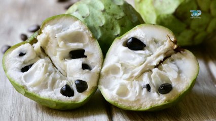 Ne Shtepine Tone, 9 Nentor 2017, Pjesa 1 - Graviola