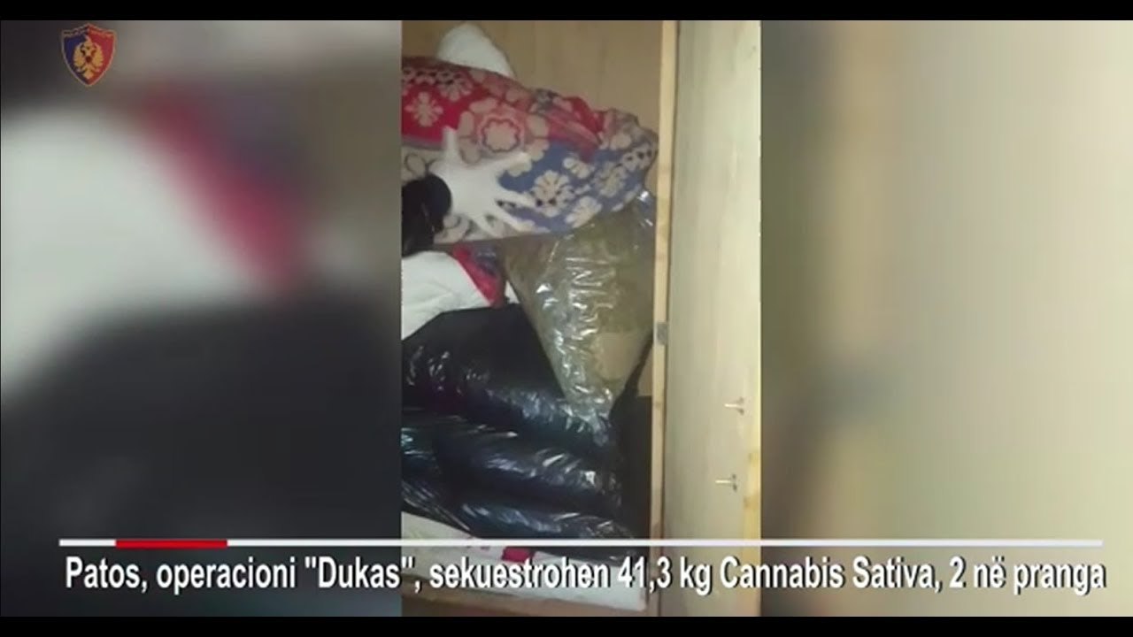 Report TV - Patos,iu gjet 41.3 kg kanabis në dollap, në pranga dy të rinjtë