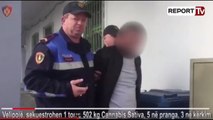 Report TV - Velipojë, bllokohet 1.5 t kanabis 5 të arrestuar, mes tyre një polic