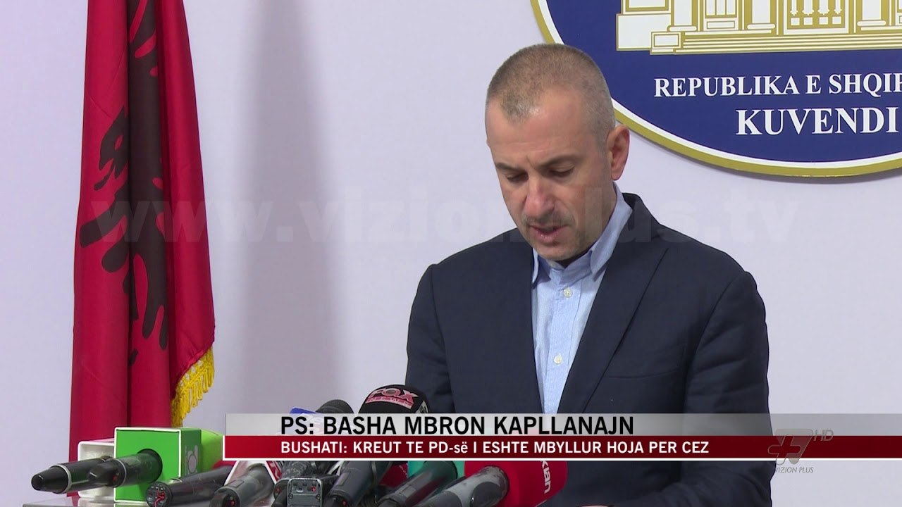 PS: Basha mbron Kapllanajn - News, Lajme - Vizion Plus