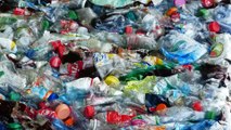 Scientists Accidentally Create Mutant Enzyme That Eats Plastic Bottles