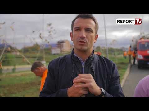 Report TV - Mbillen, 1 mijë pemë të reja te Liqeni i Thatë për Pyllin Orbital