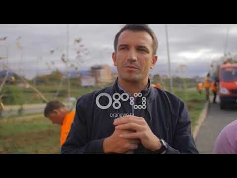 Ora News -Tiranë, një mijë pemë të reja te Liqeni i Thatë për Pyllin Orbital