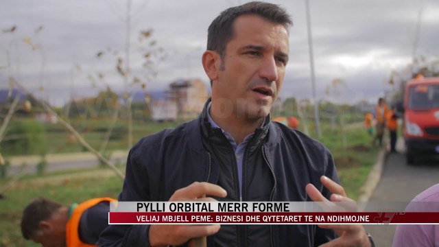 Pylli Orbital merr formë - News, Lajme - Vizion Plus