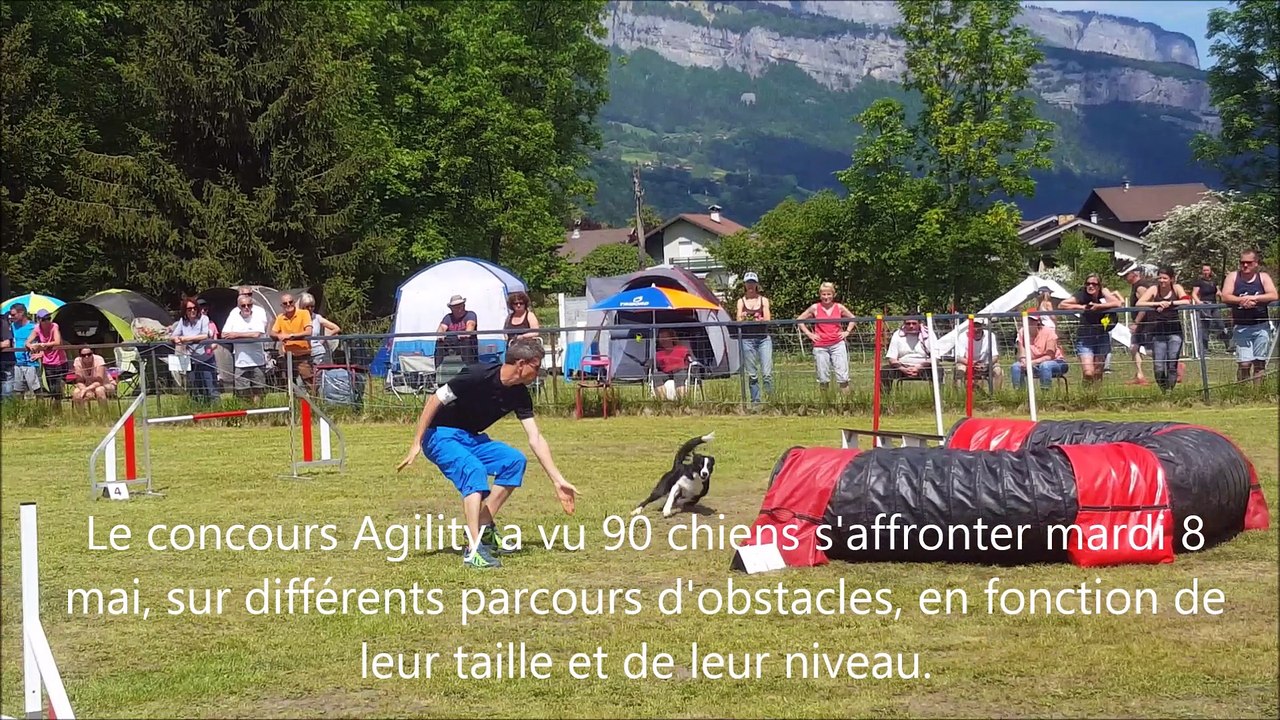 Agility : un concours canin d'agilité et de discipline  à Sallanches