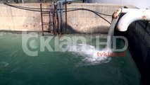 Rritet çmimi i ujit per Tiranen